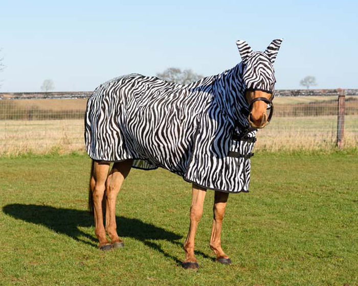 King All in One Zebra Fly Rug