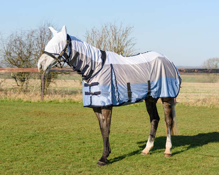 King Premium Style Fly Rug With Fly Mask