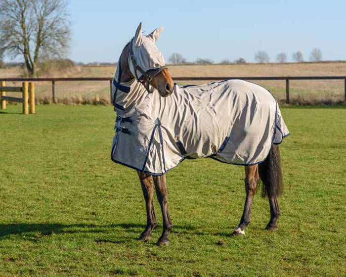 King Premium Summer Fly Rug All in One