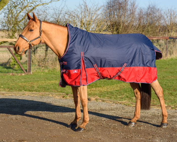 KING PREMIUM HALF NECK TURNOUT 200